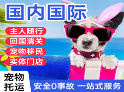 海口美兰机场邮寄国际宠物托运 【国